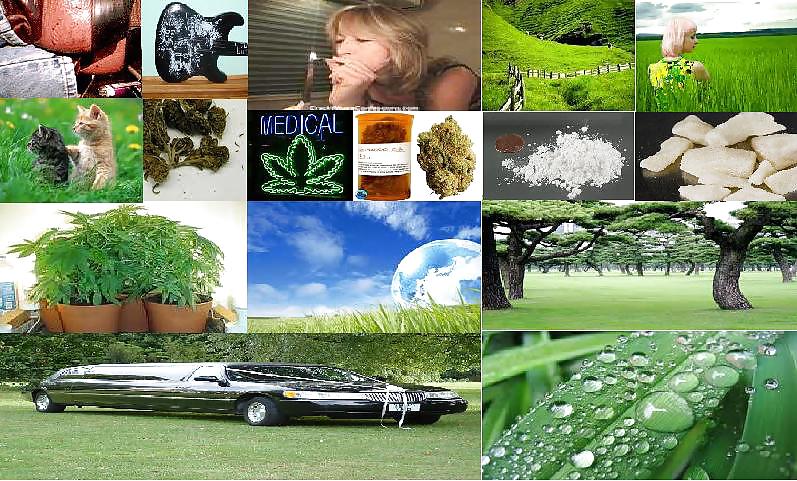 Intn'l fda política faze en...
 #5240381