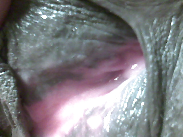Sample of My collection #3714493