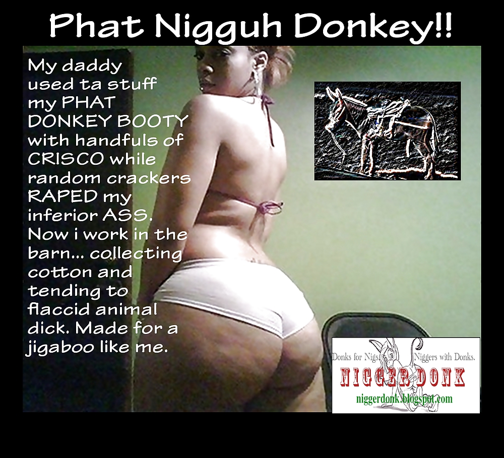 Donk Captions Gallery 1 #11130345