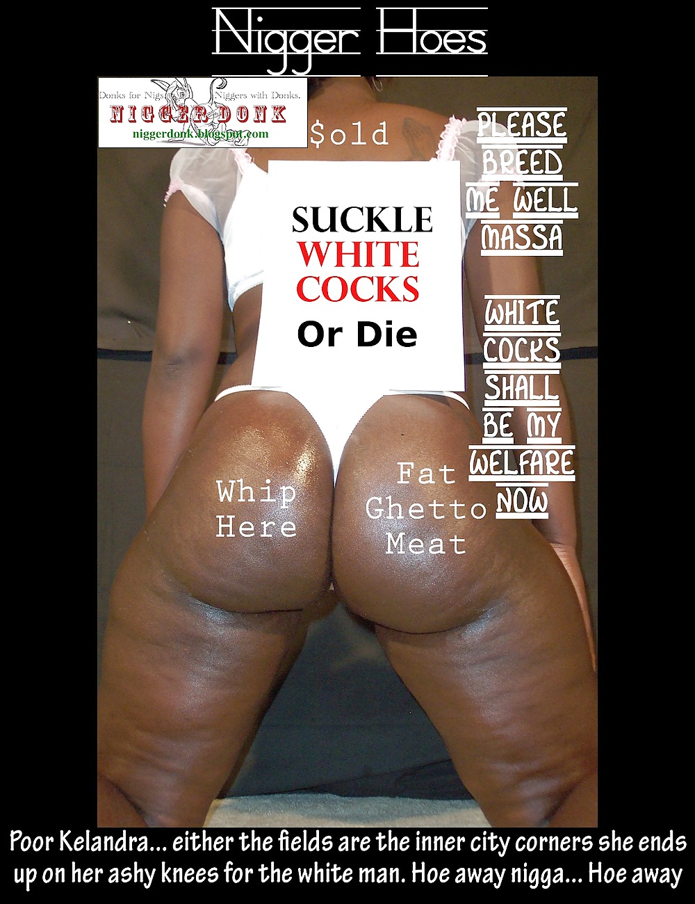 Donk Captions Gallery 1 #11130409