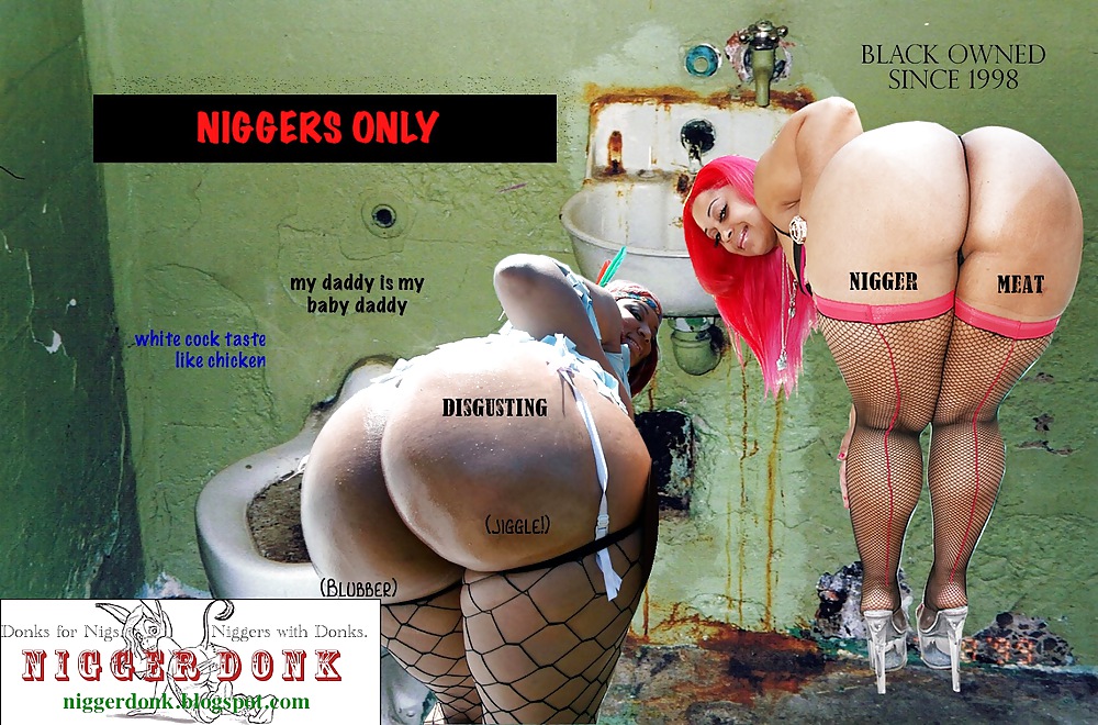 Donk Captions Gallery 1 #11130549
