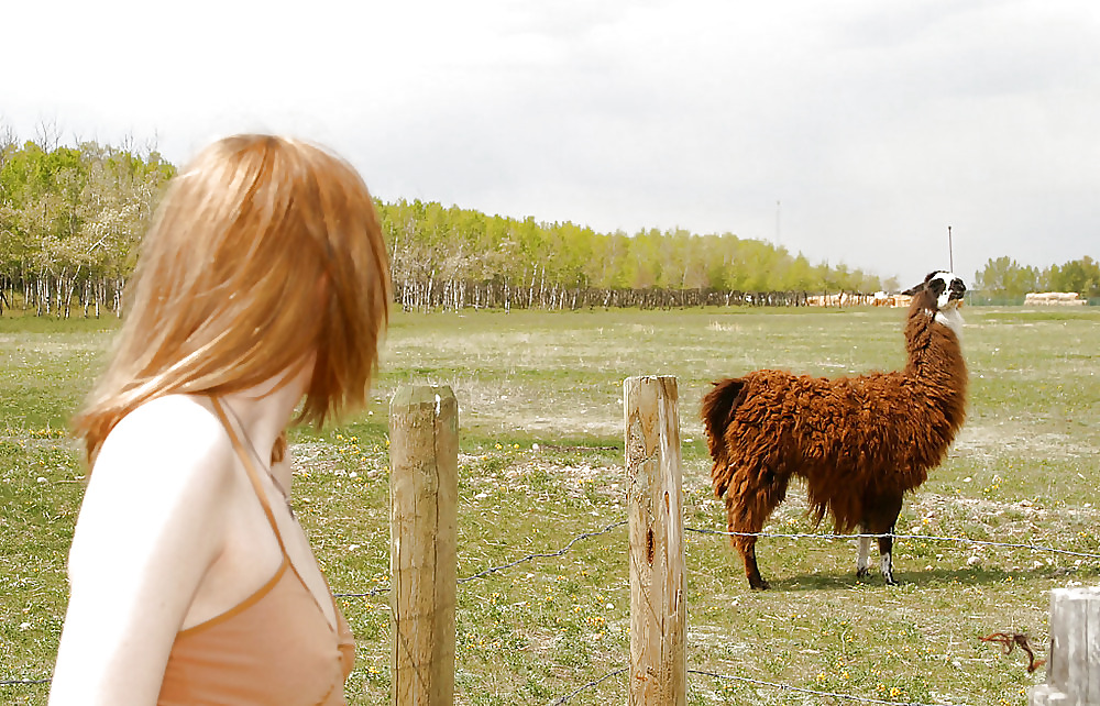Blond teen strips infron of a fence for llamas #4624736