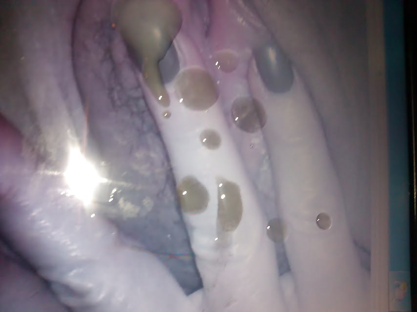For love2fuck44 #17721640
