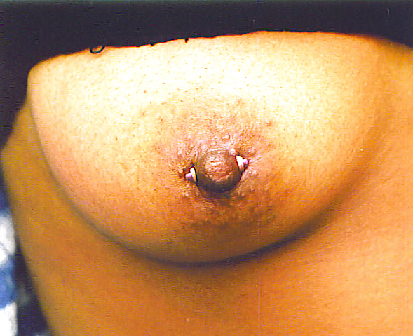 Bulgarian Nipple Piercing and Tattoos BooBs  #479472