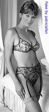 Die geile stute von tool time, oder wichs auf jill #19017222