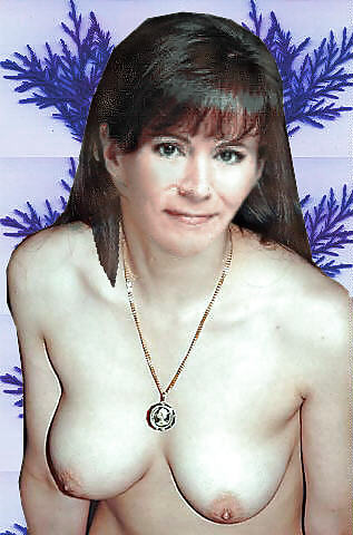 Die geile stute von tool time, oder wichs auf jill #19017255