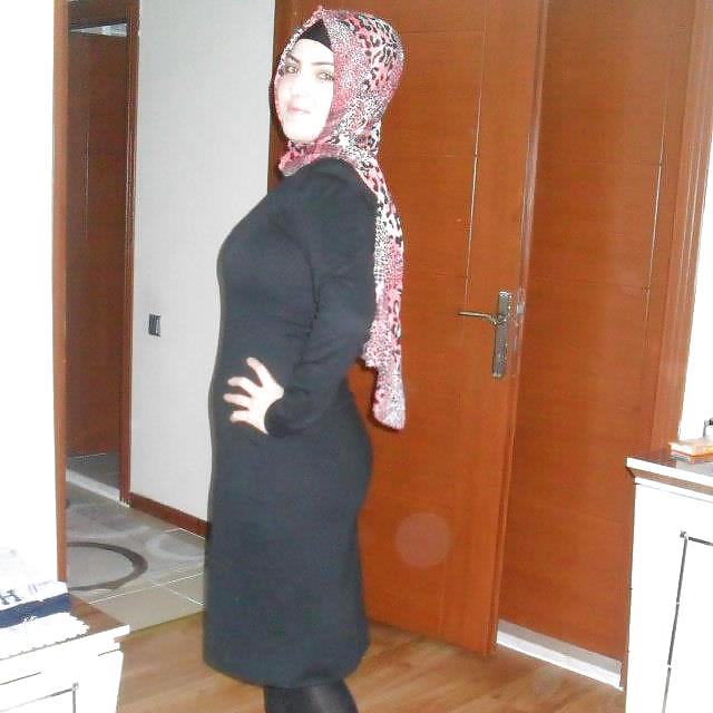 Turbanli hijab árabe turco
 #12046702