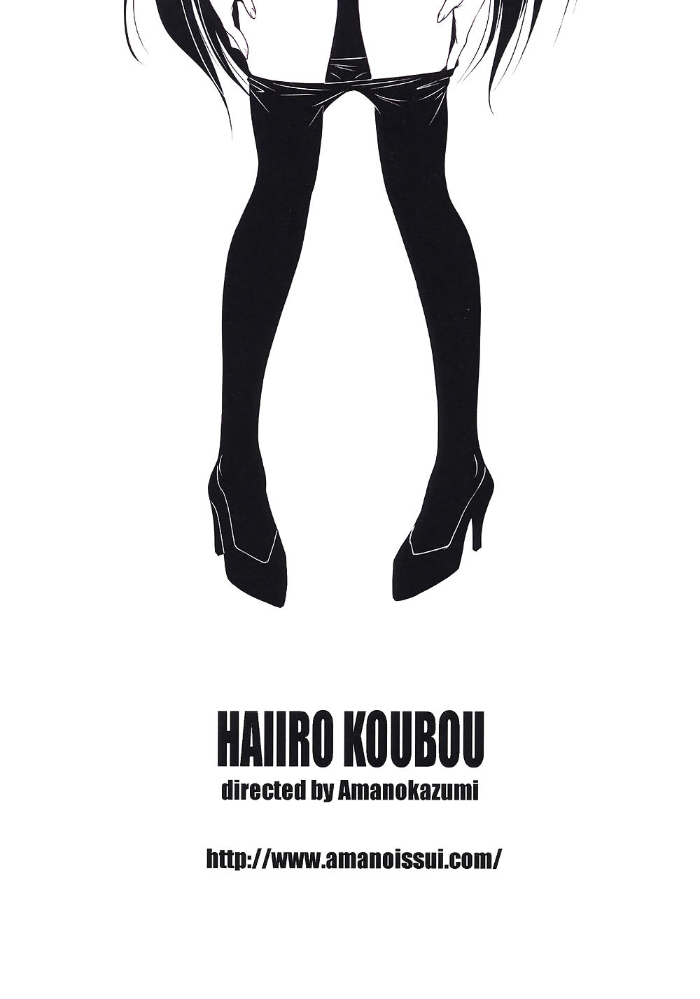 0172 - Dessins Animés - Amano Kazumi (Haiiro Koubou) - Le Jeu Anal #22308742