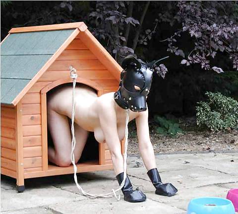 Girls's Handbook to Higher Lifestyles 2 #9468599