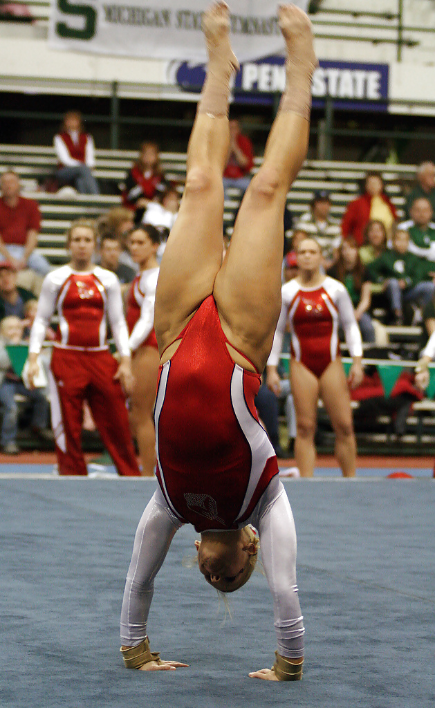 Sporty babes - gymnasts #2509206