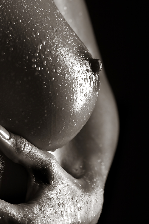 Beautiful Black & Whites #3393420