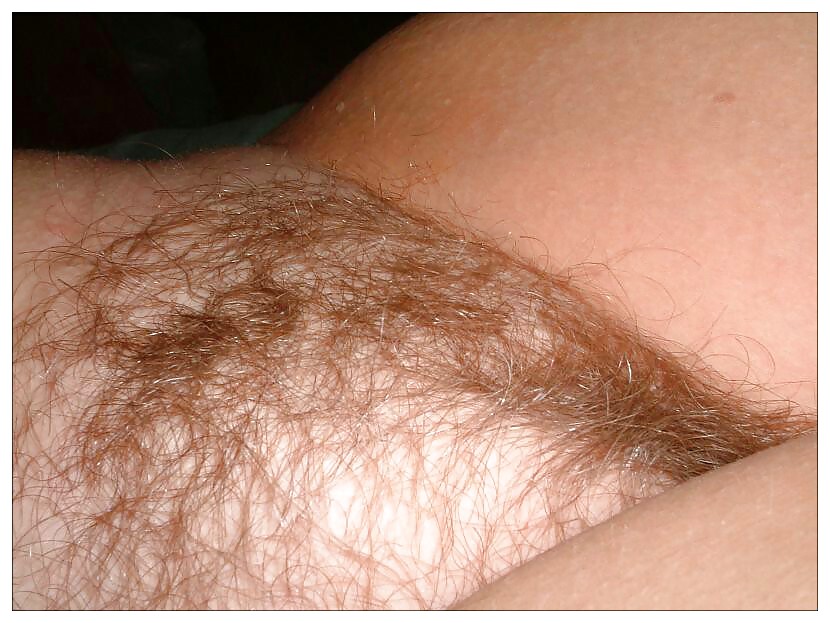 Simplemente peludo
 #6599064