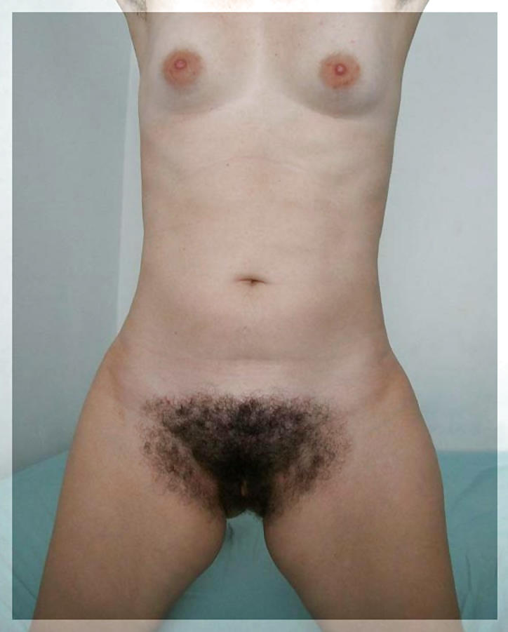 Simplemente peludo
 #6599231