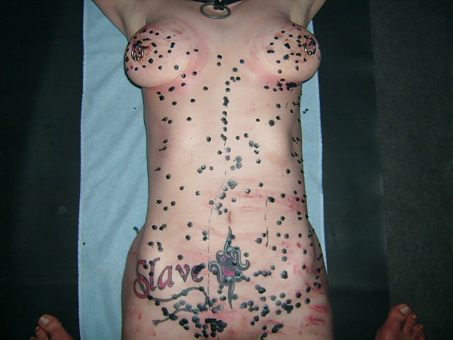 画像を見る
 #14380420