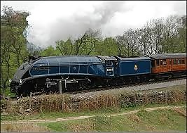 See mi rollin...
 #10513293