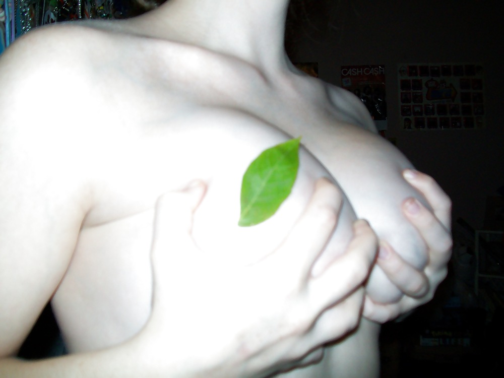 Para(eden)ise #9727735