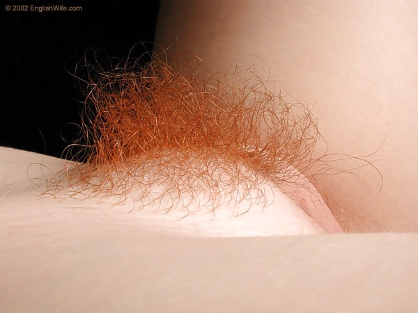 More Hairy Red Pussy #1858105