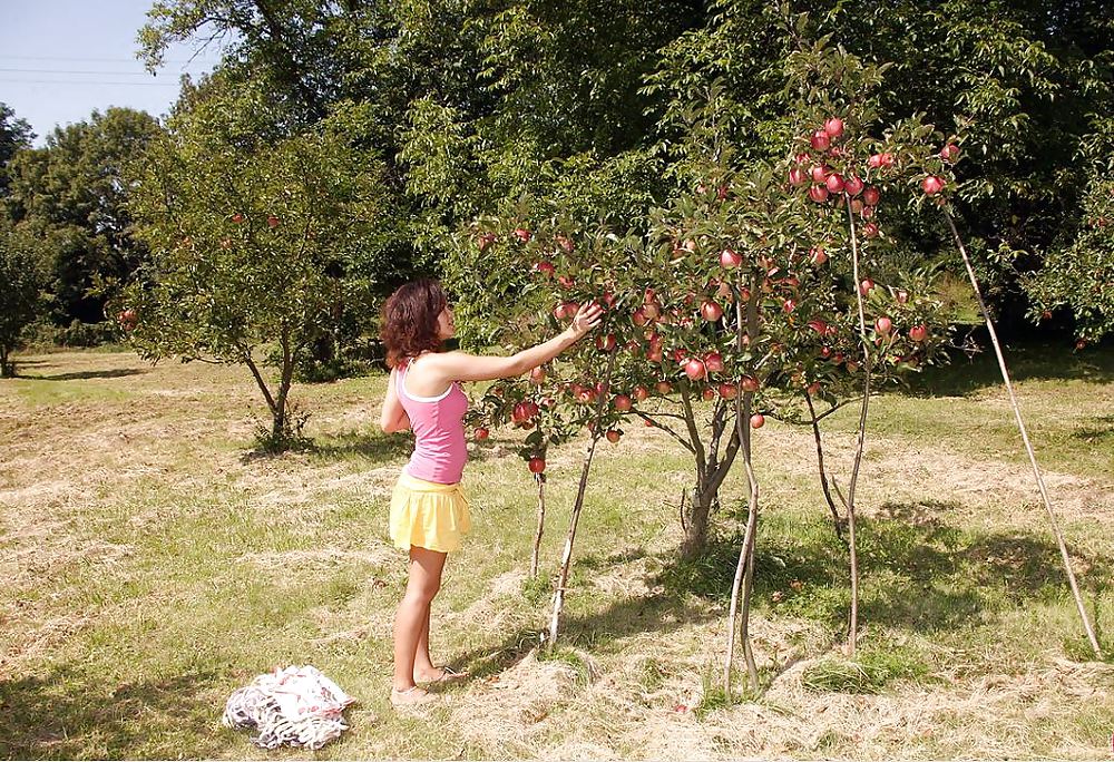 Plantureuses Jeunes Femmes Baisée 3. #15409406