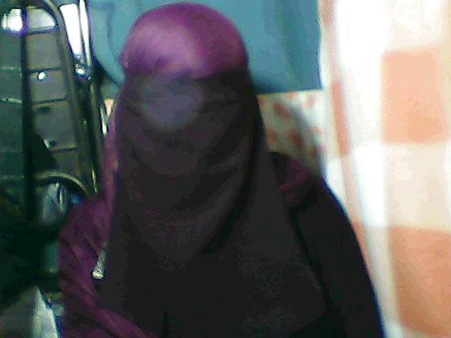 マロンブルカ
 #15477834