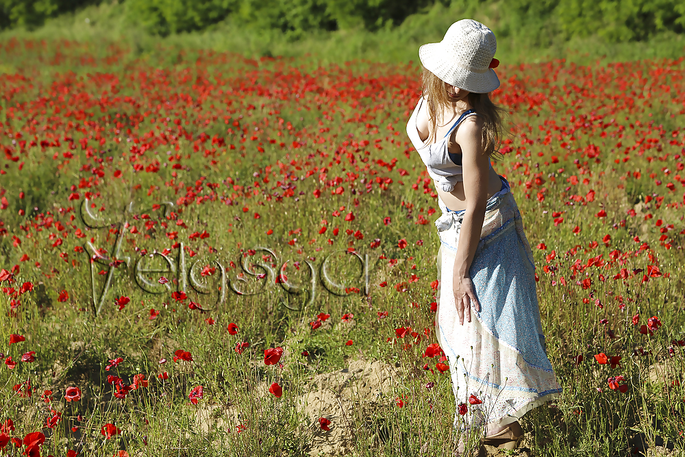 En campagna ... 
 #17397237