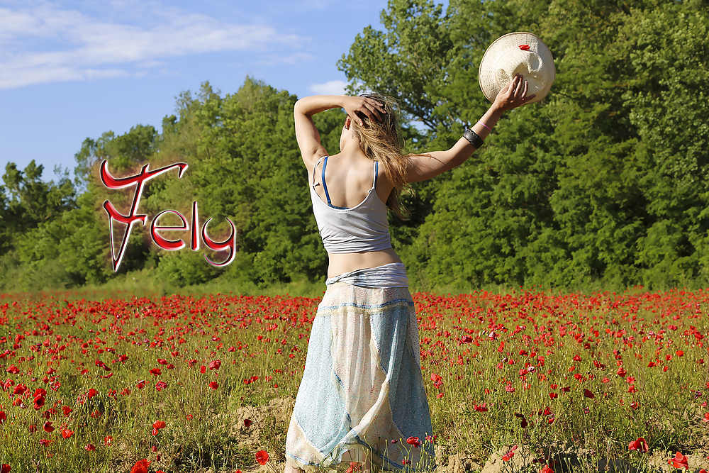 En campagna ... 
 #17397247