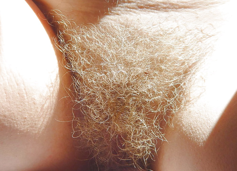 Mature hairy cunts! #22846512