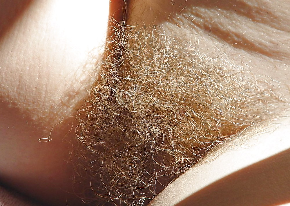 Mature hairy cunts! #22846519