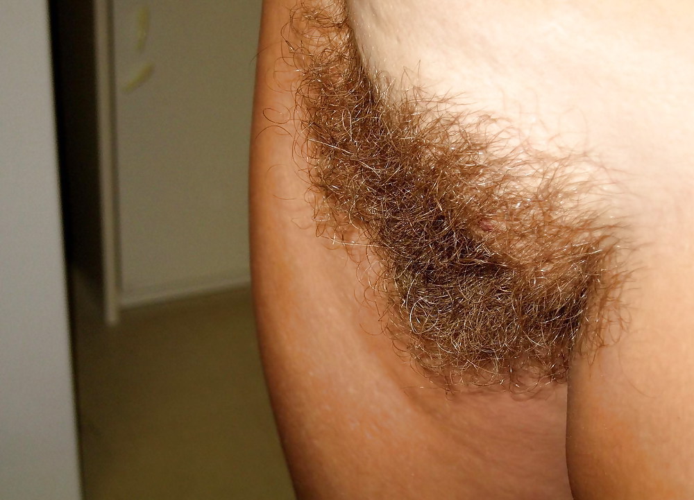 Mature hairy cunts! #22846538