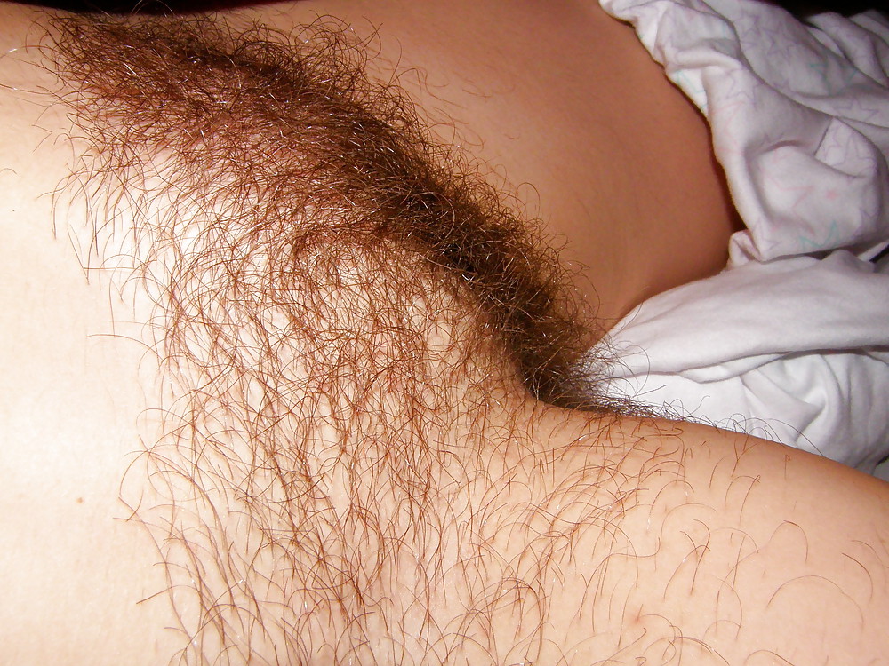 Mature hairy cunts! #22846606