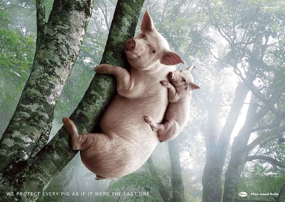 Nur Mal So Nochmal #14634760