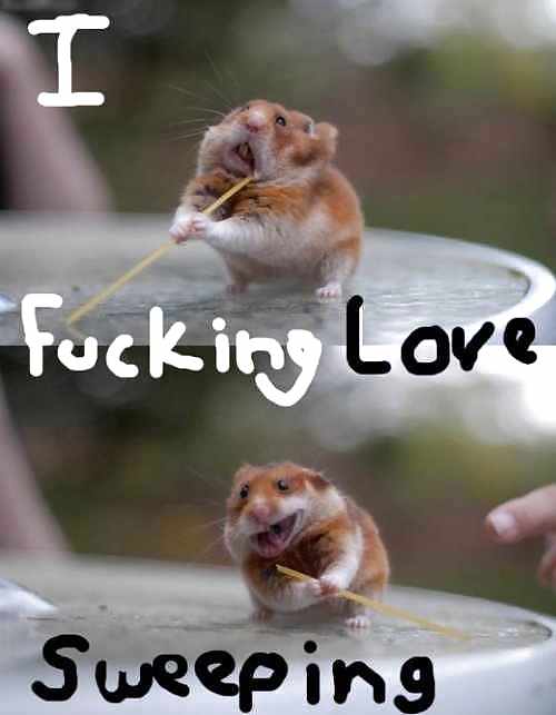 Nur Mal So Nochmal #14634768