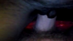 I love dim bitch #9380542