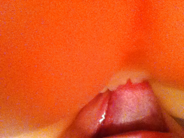 グミムースチ
 #16322553