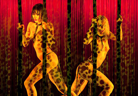 Queens of Loopy #9619470