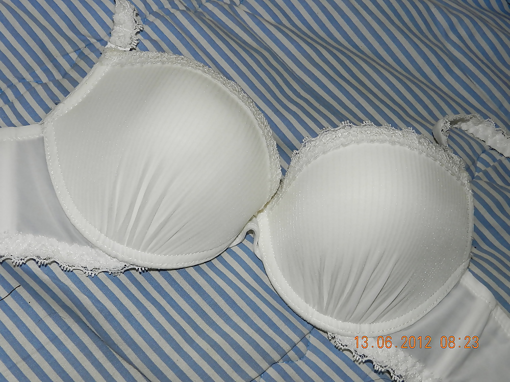 Sexy bras i love
 #16834022