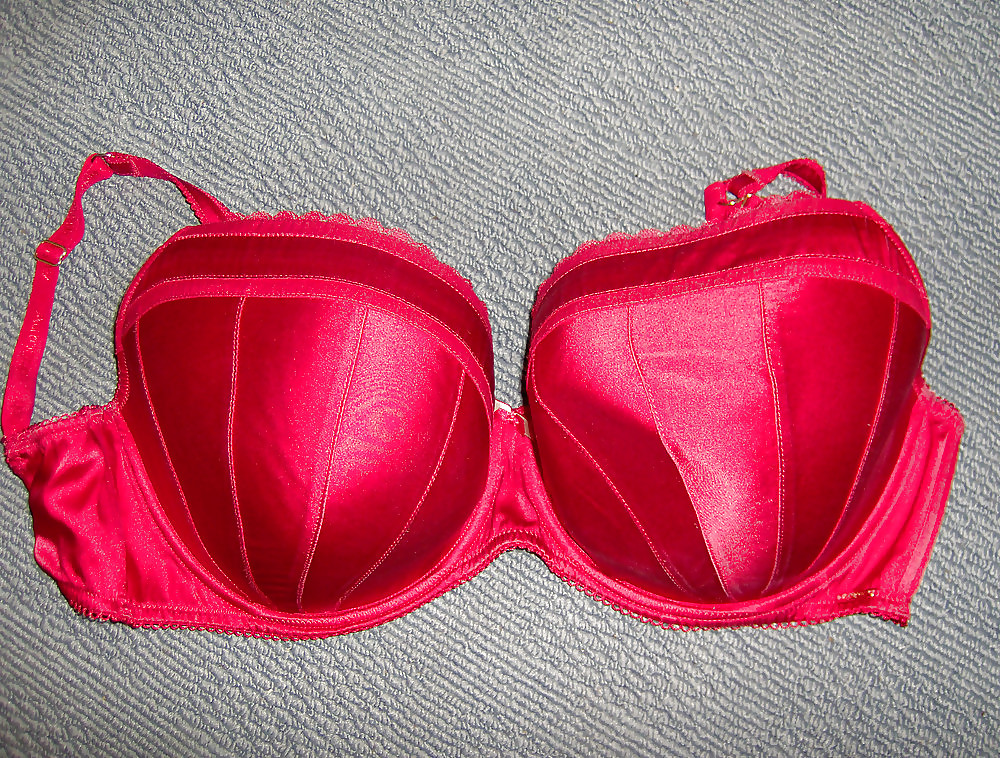 Sexy bras i love
 #16834064