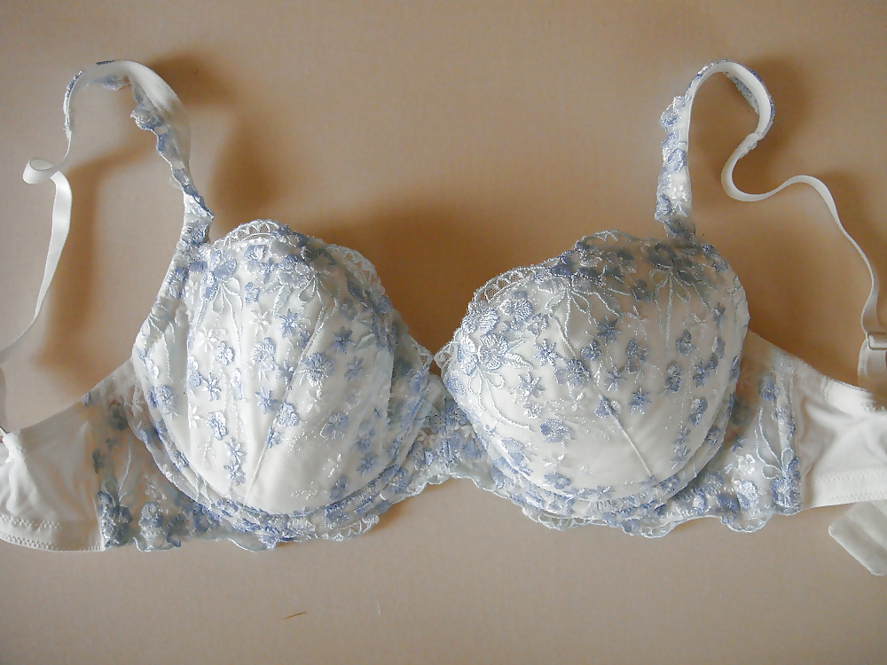 Sexy bras i love
 #16834147