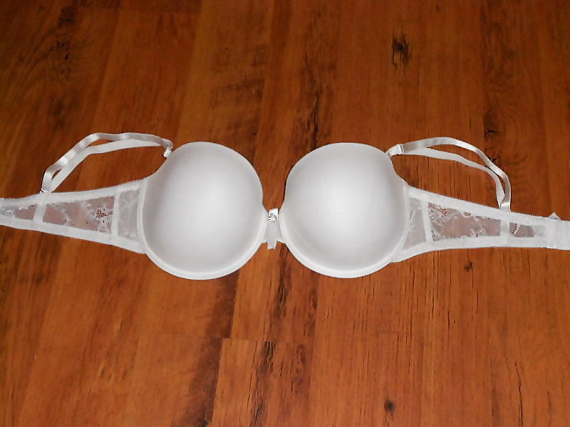 Sexy bras i love
 #16834215