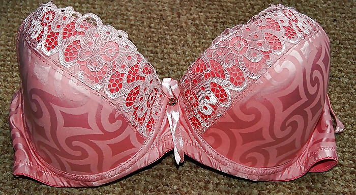 Sexy bras i love
 #16834326