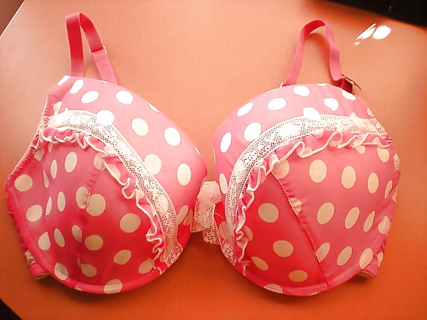 Sexy bras i love
 #16834445