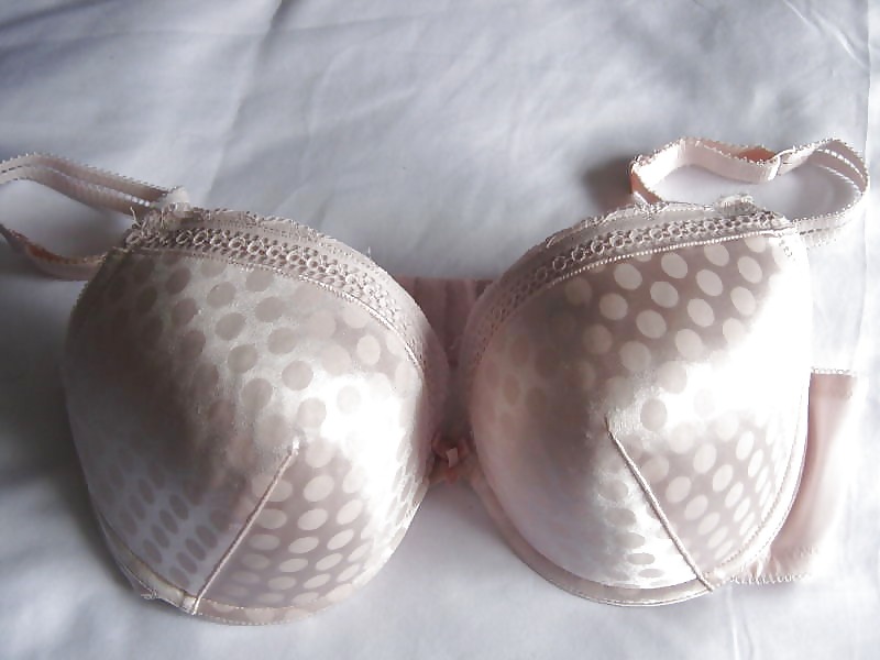 Sexy bras i love
 #16834458