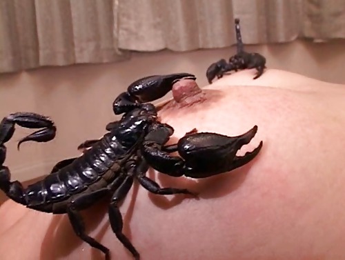 Rigolo - 2 #19136048