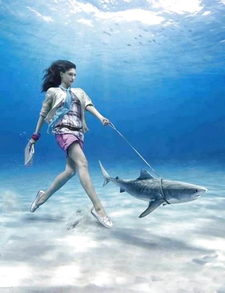 Rigolo - 2 #19136166