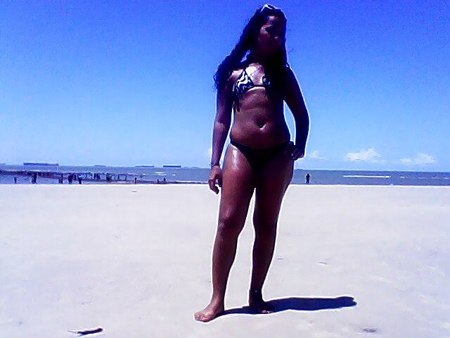 Gatas maranhenses
 #7458239