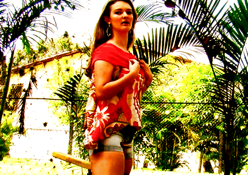 Gatas maranhenses
 #7458271