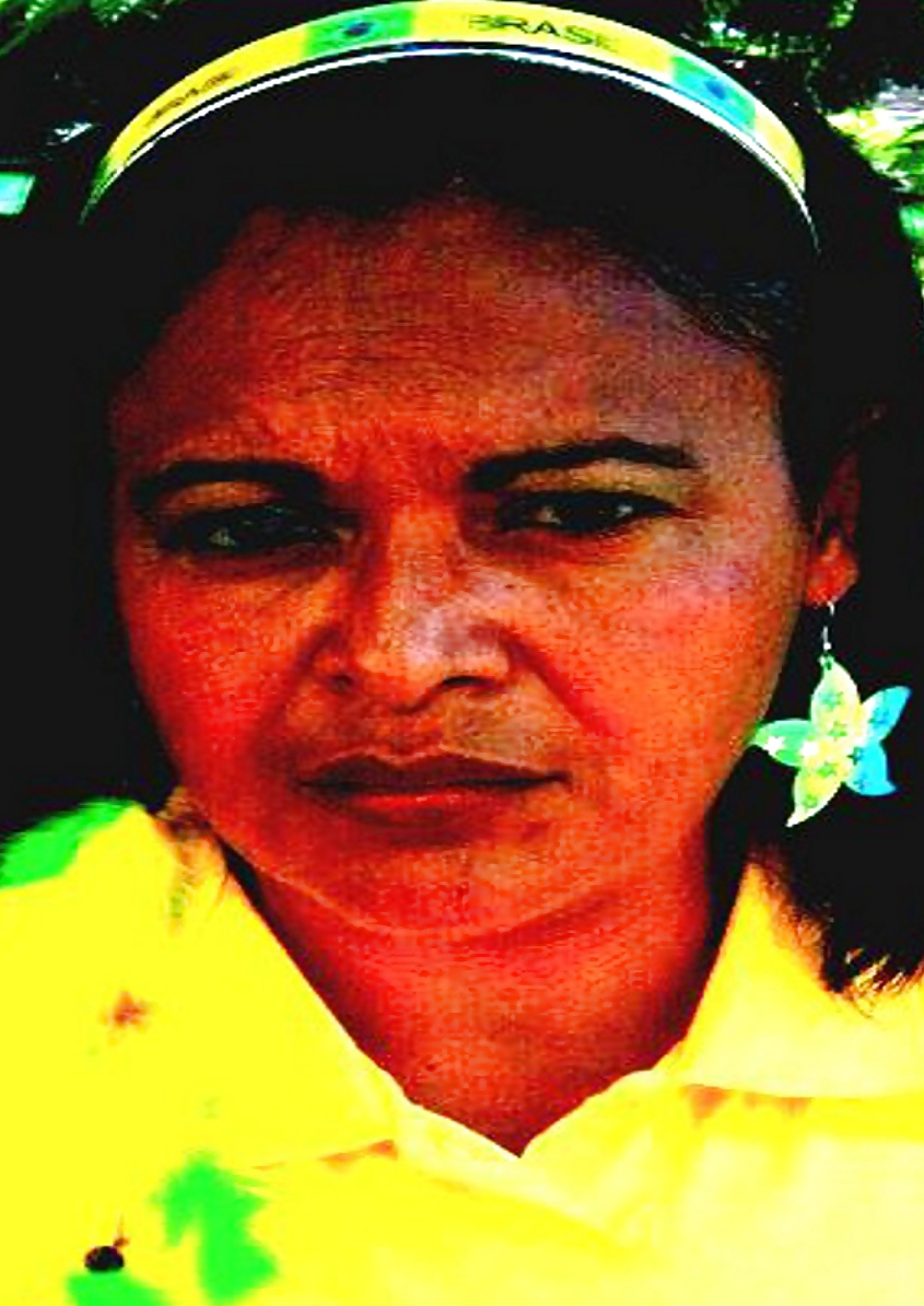 Gatas maranhenses
 #7458286