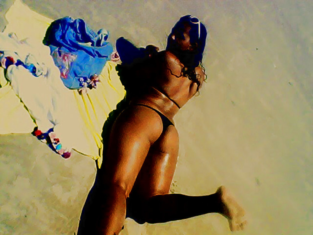 Gatas maranhenses
 #7458293