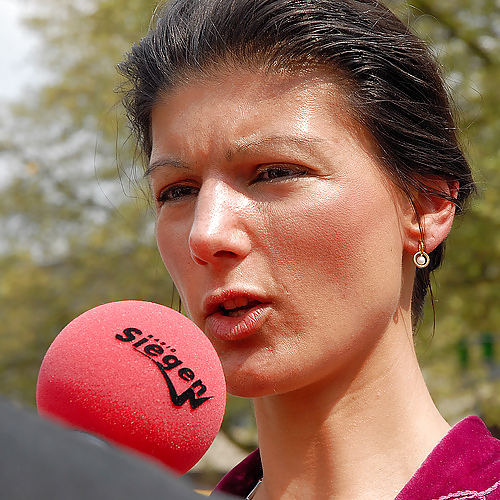 Sarah wagenknecht (politico tedesco)
 #15824980