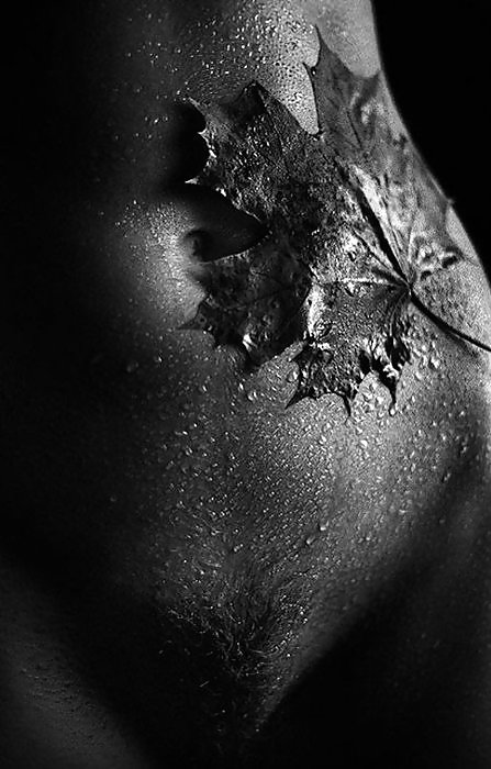 Beautiful diversion....
 #19901289