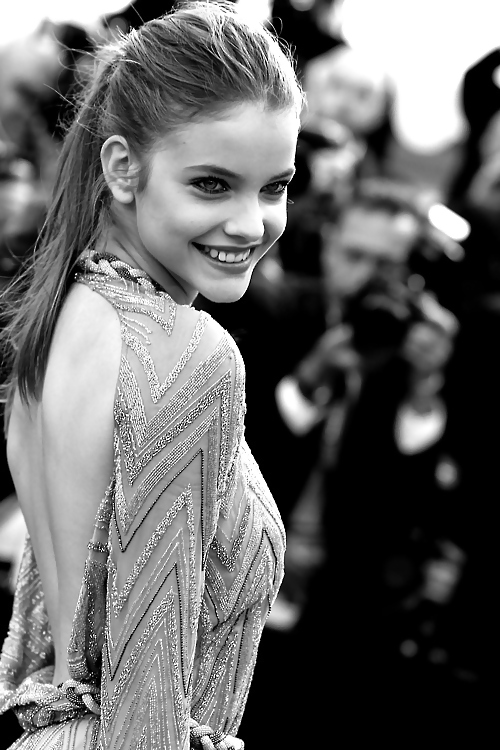 M o d e l
 #13236219